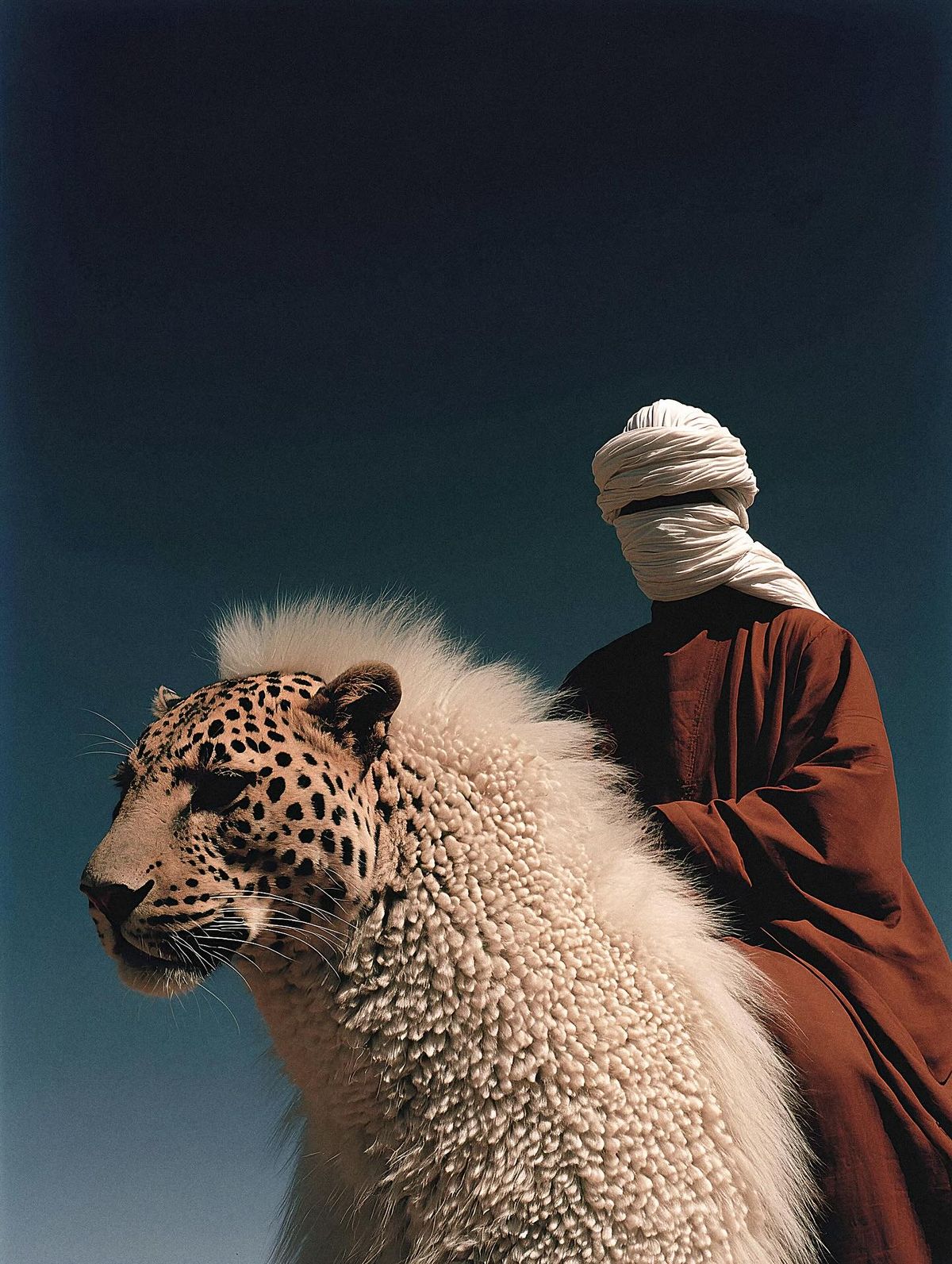 Surreal Soft-Texture-6